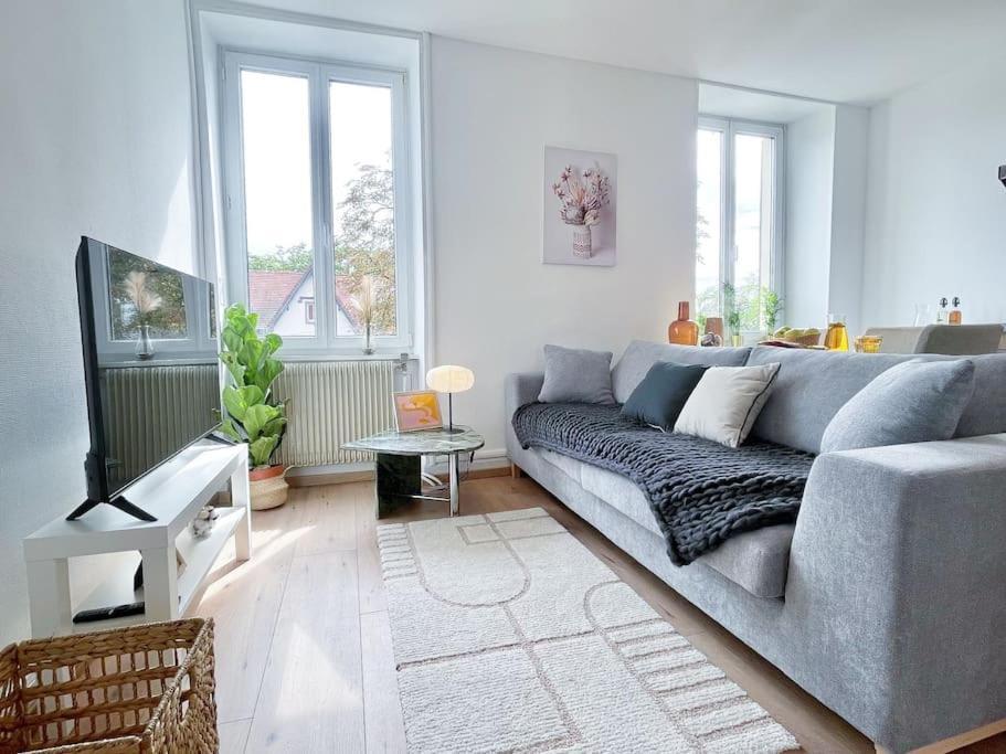 1 Appartement 3P Ideal Famille Travail Renove Lumineux Parking Gratuit Mulhouse Eksteriør billede