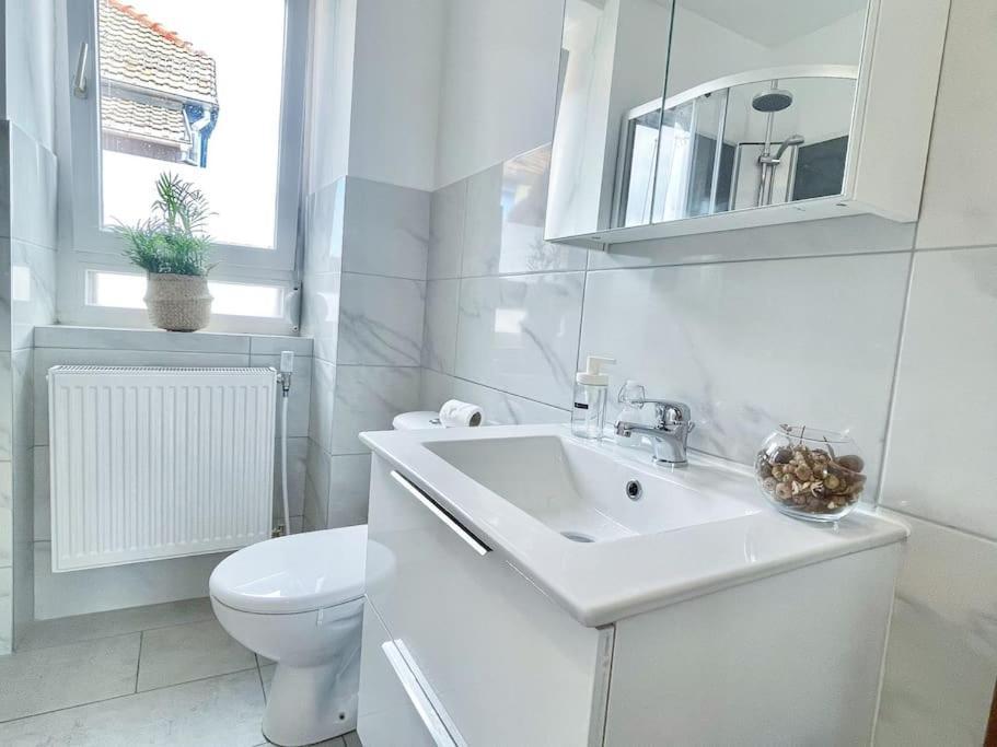 1 Appartement 3P Ideal Famille Travail Renove Lumineux Parking Gratuit Mulhouse Eksteriør billede