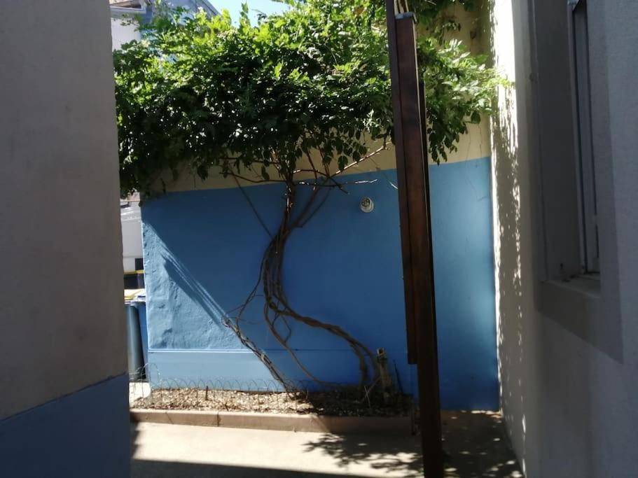 1 Appartement 3P Ideal Famille Travail Renove Lumineux Parking Gratuit Mulhouse Eksteriør billede