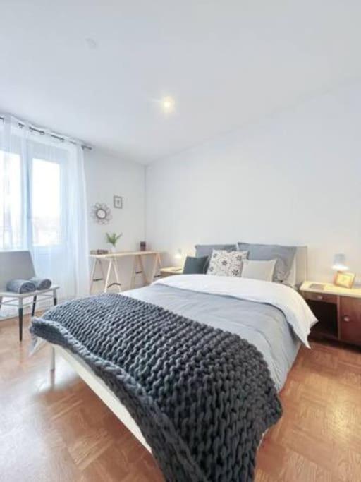 1 Appartement 3P Ideal Famille Travail Renove Lumineux Parking Gratuit Mulhouse Eksteriør billede